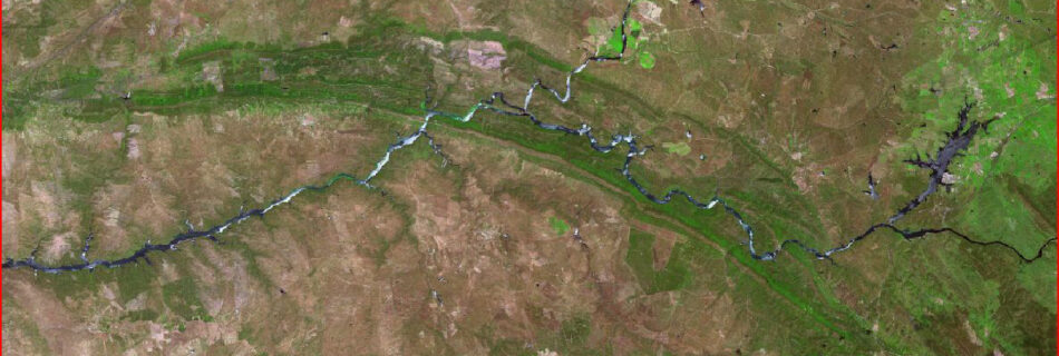 IDForestal Parque Nacional de Monfragüe (Cáceres)