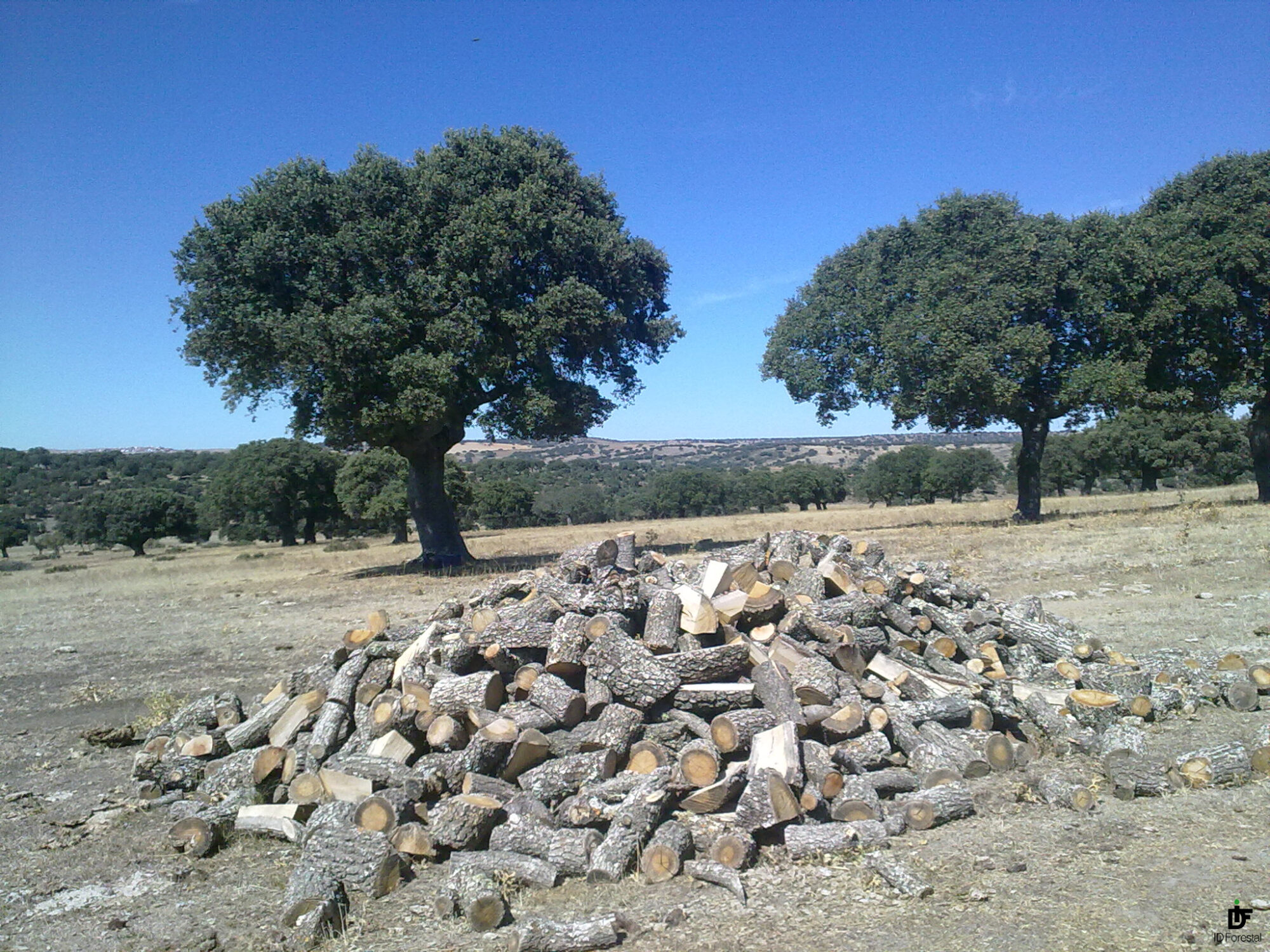 ¿Para qué sirve el Reglamento EUTR?
