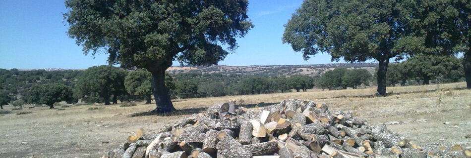 ¿Para qué sirve el Reglamento EUTR?