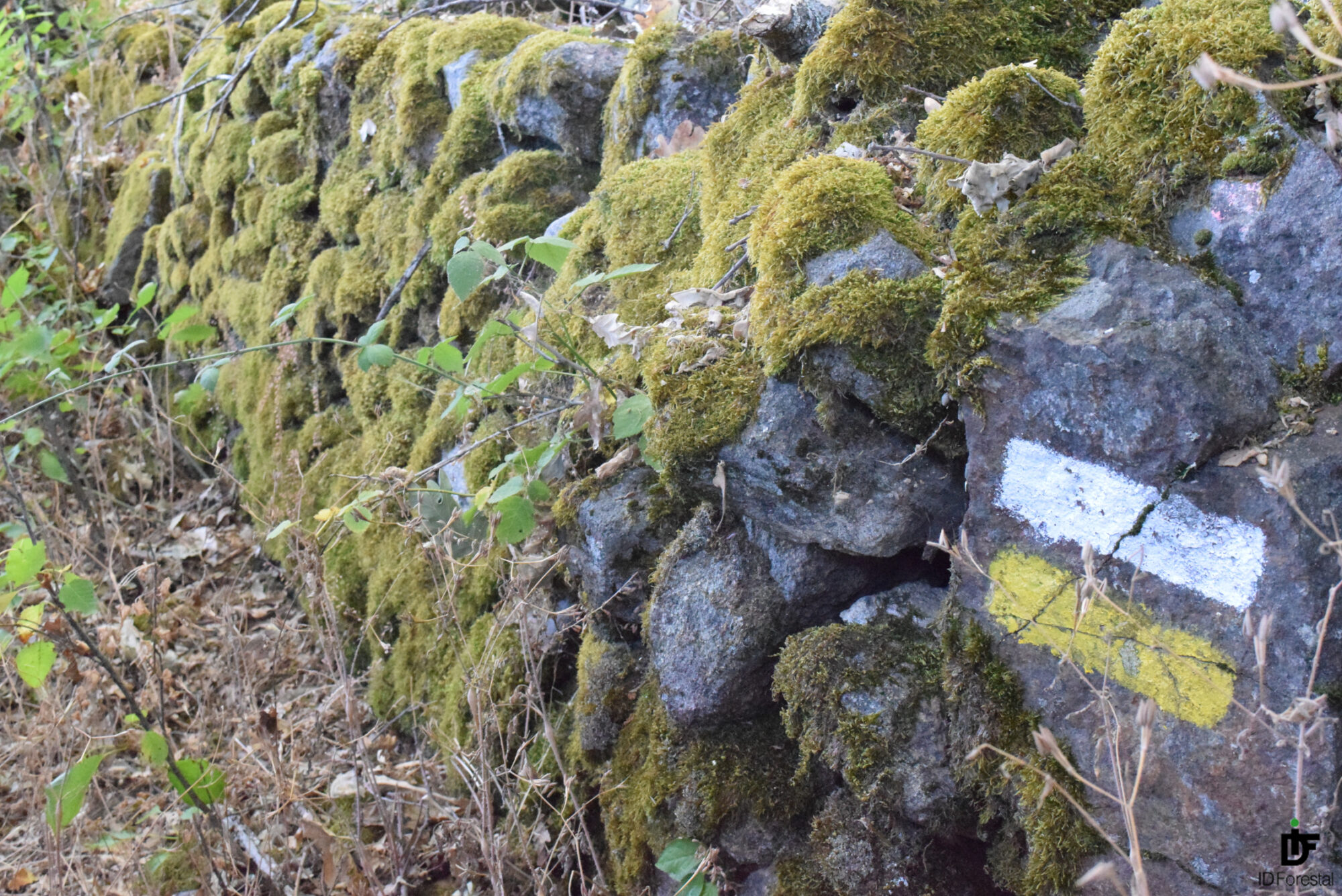 IDForestal Apuntes Sobre Senderismo (2ª parte)