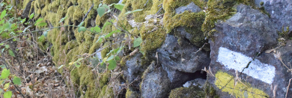 IDForestal Apuntes Sobre Senderismo (2ª parte)