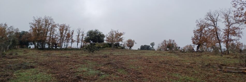 Desbroce Prevencion Incendios IDForestal