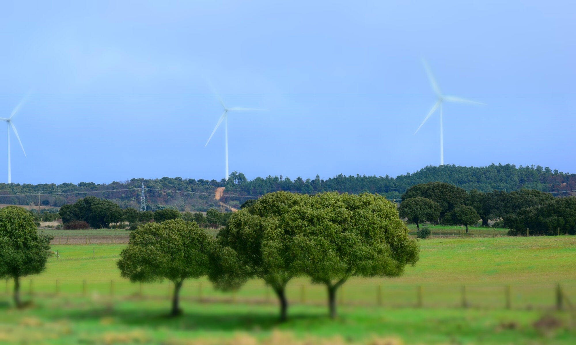 02.-IDForestal Febrero 2026